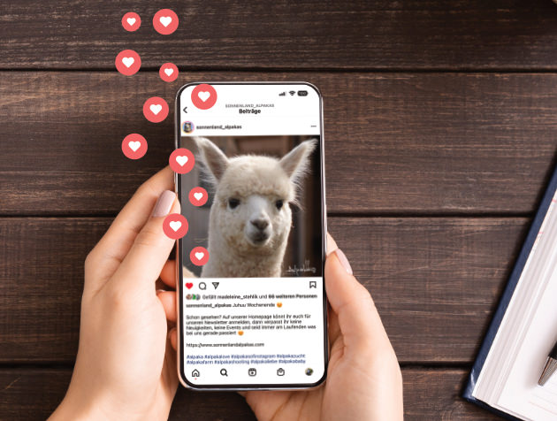 Instagram Werbung