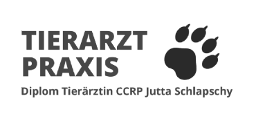 Logo Jutta Schlapschy